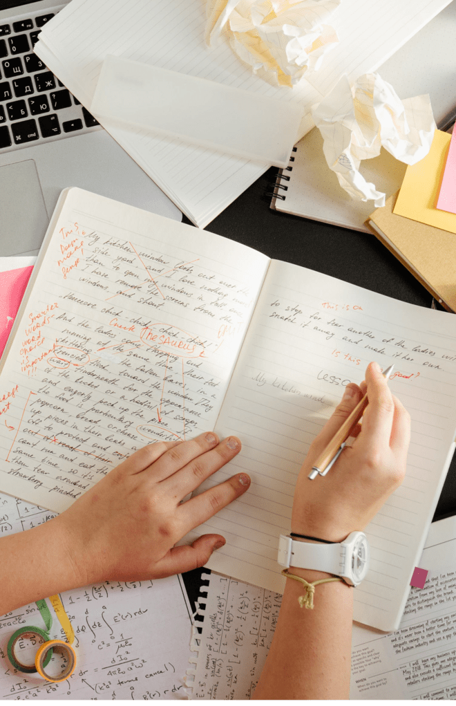 Descrição da Imagem